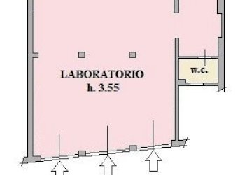 Image130226084850-1.jpg - Capannone Via del Molino, Pelago - foto 11