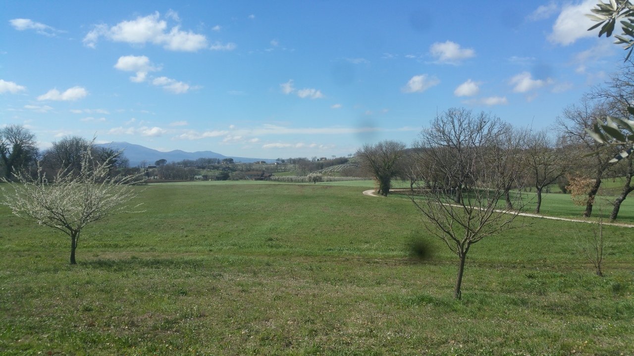 20180321_105148.jpg - Terreno agricolo Via San Francesco, Lugnano in Teverina - foto 1