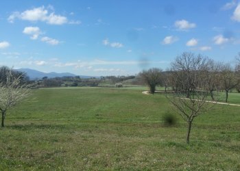 20180321_105148.jpg - Terreno agricolo Via San Francesco, Lugnano in Teverina - foto 1