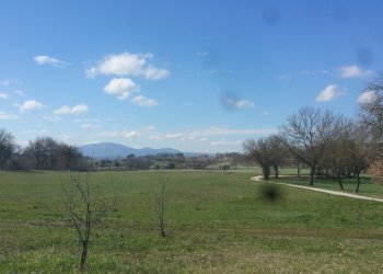 20180321_105205.jpg - Terreno agricolo Via San Francesco, Lugnano in Teverina - foto 7