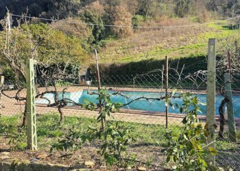 POOL (1).jpg - Casale Via di Carnano 8, Montecchio - photo 5