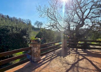 TERRAZZO (6).jpg - Casale Via di Carnano 8, Montecchio - photo 24