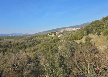 VISTA.jpg - Casale Via di Carnano 8, Montecchio - photo 30