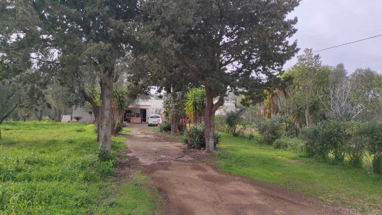 WhatsApp Image 2026-03-11 at 16.22.00 (3).jpeg - Casa indipendente Contrada Santo Scalone, Ostuni - foto 2