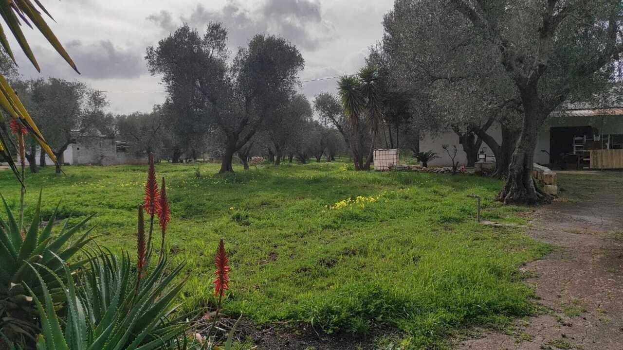 WhatsApp Image 2026-03-11 at 16.22.01 (3).jpeg - Casa indipendente Contrada Santo Scalone, Ostuni - foto 3