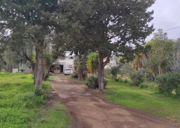 WhatsApp Image 2026-03-11 at 16.22.00 (3).jpeg - Casa indipendente Contrada Santo Scalone, Ostuni - foto 2