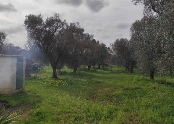 WhatsApp Image 2026-03-11 at 16.22.01 (4).jpeg - Casa indipendente Contrada Santo Scalone, Ostuni - foto 5