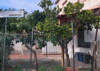 661fd22e-acf1-4238-93b3-0d3bcb3acc43.jpg - Terratetto - Terracielo Via Canaparo 58, Fossacesia - foto 3