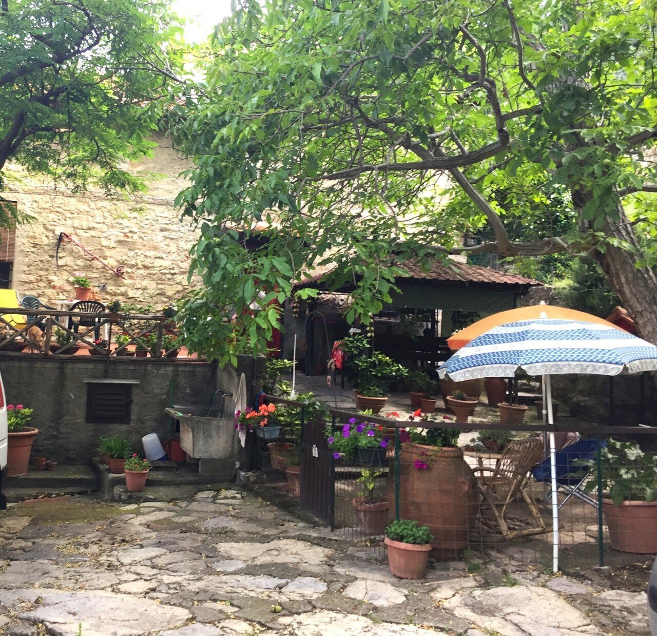 giardino - Rustic Via di Filettole, Prato - photo 3