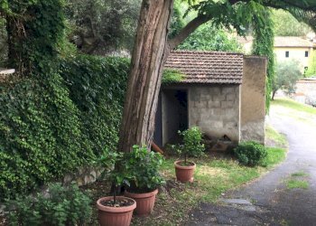 giardino - Rustic Via di Filettole, Prato - photo 2