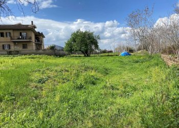 WhatsApp Image 2026-03-13 at 12.10.18 (8).jpeg - Terreno edificabile Strada dell'Acquoria, Tivoli - foto 4