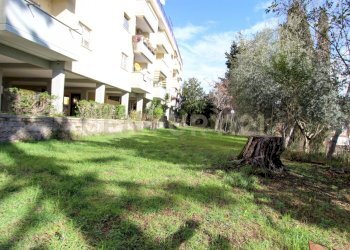 giardino.jpg - Appartamento Via Italo Orto 35, Roma (zona Tor de Cenci) - foto 22