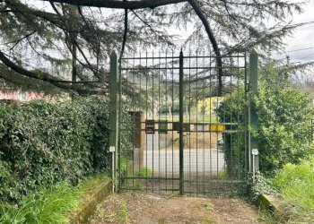 d240c4ae-fe5c-4a33-b1d3-dbda62551ee2.jpg - Casa indipendente Sarzana - foto 10