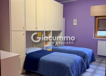 comp-pietragll29.jpg - Appartamento piano san nicola, Potenza - foto 8