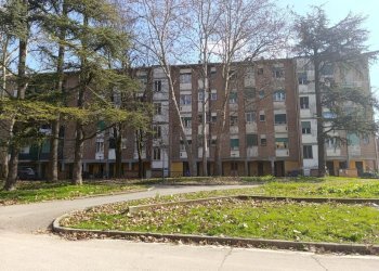 WhatsApp Image 2026-03-12 at 11.02.33.jpeg - Appartamento Parma - foto 22