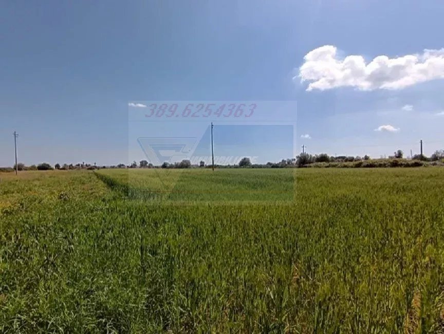 terreno agricolo - Terreno edificabile Strada Benali, Siracusa - foto 1