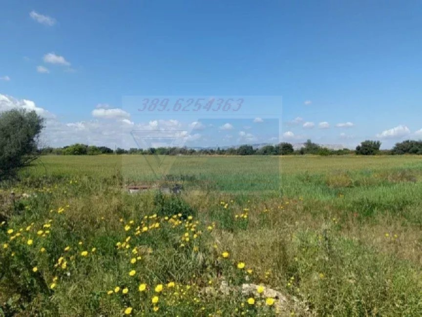terreno - Terreno edificabile Strada Benali, Siracusa - foto 3