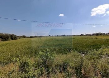 terrenol - Terreno edificabile Strada Benali, Siracusa - foto 6