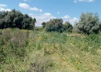 terreno - Terreno edificabile Strada Benali, Siracusa - foto 9