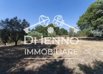 Terreno agricolo Via Mapello, Roma - foto 4