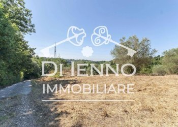 Terreno agricolo Via Mapello, Roma - foto 8