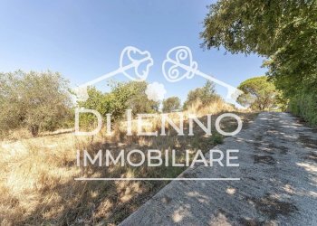 Terreno agricolo Via Mapello, Roma - foto 9