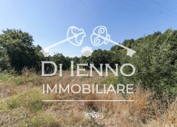 Terreno agricolo Via Mapello, Roma - foto 12