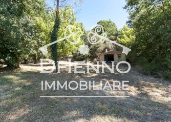 Terreno agricolo Via Mapello, Roma - foto 15