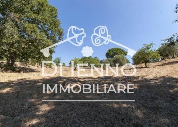 Terreno agricolo Via Mapello, Roma - foto 19