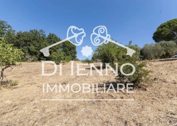 Terreno agricolo Via Mapello, Roma - foto 20