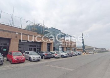 Office Lucca (neighborhood Mugnano) - photo 1