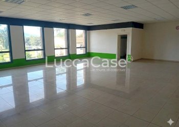 Office Lucca (neighborhood Mugnano) - photo 6