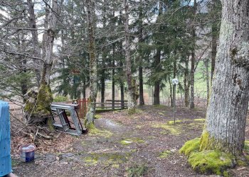 One-room apartment Villanoce, Rezzoaglio, Rezzoaglio - photo 19