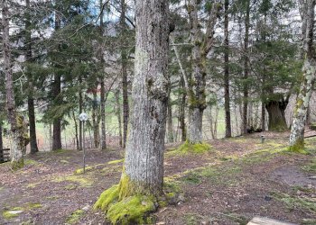 One-room apartment Villanoce, Rezzoaglio, Rezzoaglio - photo 20