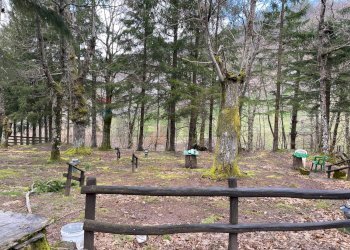 One-room apartment Villanoce, Rezzoaglio, Rezzoaglio - photo 21