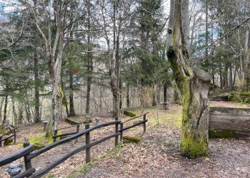 One-room apartment Villanoce, Rezzoaglio, Rezzoaglio - photo 22