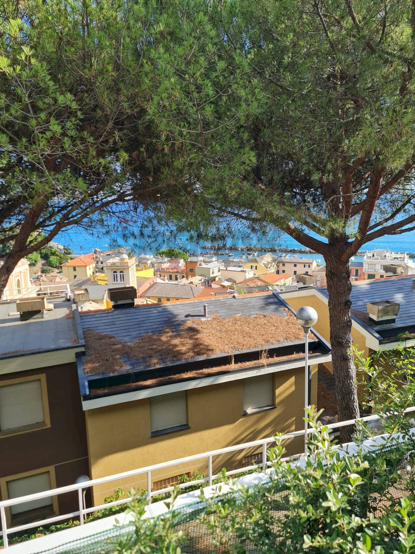 Casa per ferie Moneglia, GE, Moneglia - foto 1