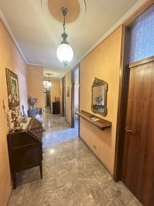 Attic Vignola - photo 2