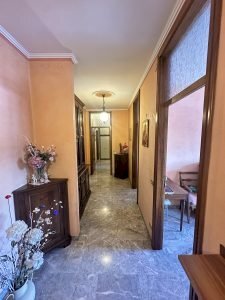 Attic Vignola - photo 3