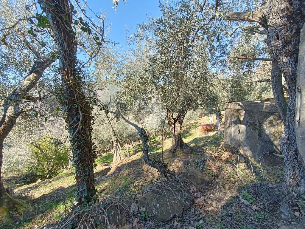 Rustico Strada Casette Ghersi, Sanremo - foto 3