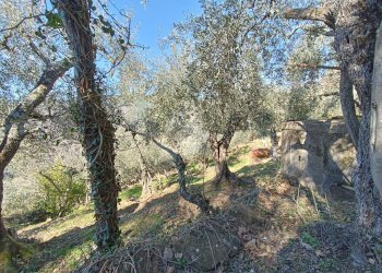 Rustico Strada Casette Ghersi, Sanremo - foto 3