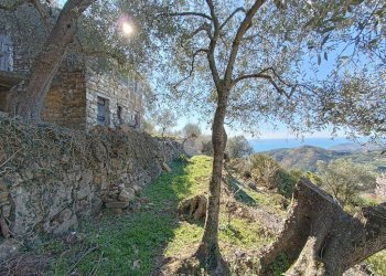 Rustico Strada Casette Ghersi, Sanremo - foto 16