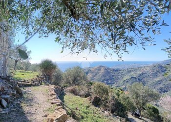 Rustico Strada Casette Ghersi, Sanremo - foto 25