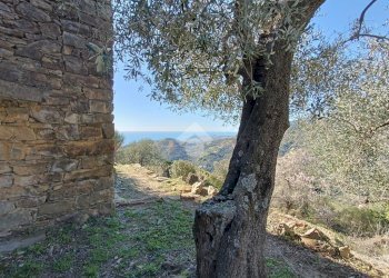 Rustico Strada Casette Ghersi, Sanremo - foto 26