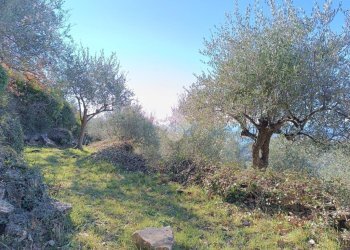 Rustico Strada Casette Ghersi, Sanremo - foto 29