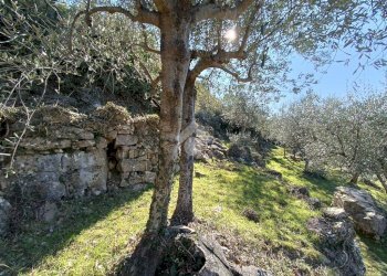 Rustico Strada Casette Ghersi, Sanremo - foto 31
