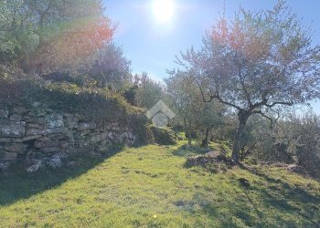 Rustico Strada Casette Ghersi, Sanremo - foto 35