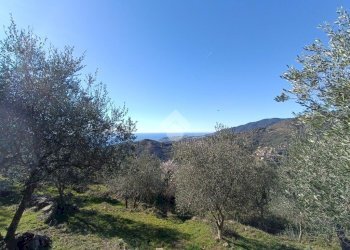 Rustico Strada Casette Ghersi, Sanremo - foto 37