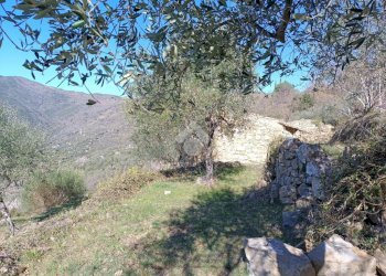 Rustico Strada Casette Ghersi, Sanremo - foto 38