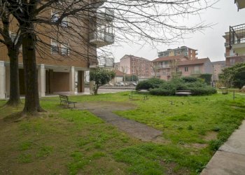 Appartamento Collegno - foto 6